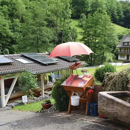 Apartamento Two-bedroom In B Peterstal-griesbach Bad Peterstal-Griesbach